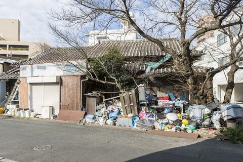 AdobeStock_242246503